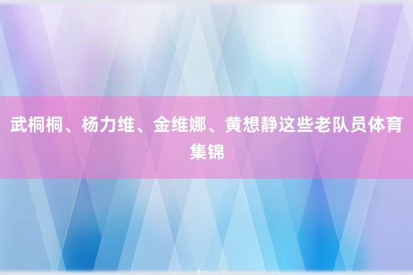 武桐桐、杨力维、金维娜、黄想静这些老队员体育集锦