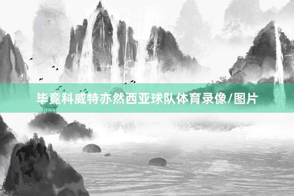 毕竟科威特亦然西亚球队体育录像/图片