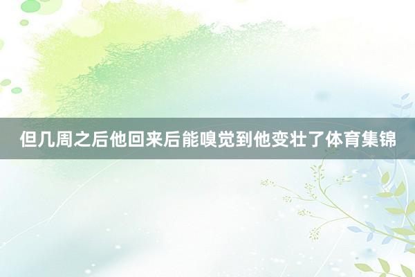 但几周之后他回来后能嗅觉到他变壮了体育集锦