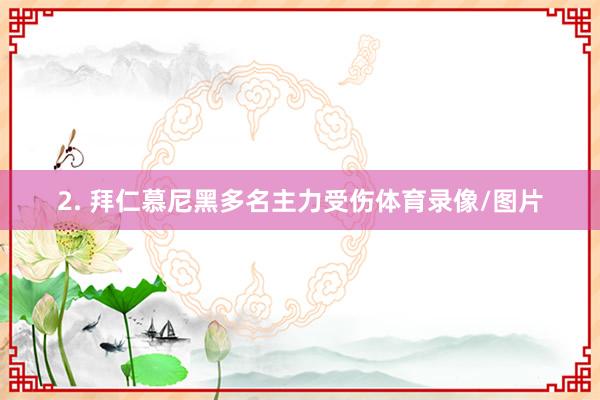 2. 拜仁慕尼黑多名主力受伤体育录像/图片