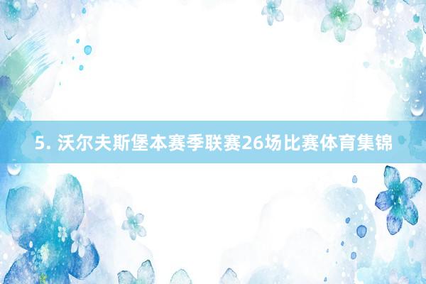 5. 沃尔夫斯堡本赛季联赛26场比赛体育集锦