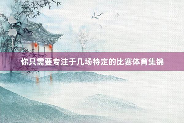 你只需要专注于几场特定的比赛体育集锦