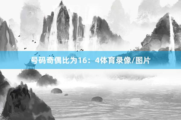 号码奇偶比为16：4体育录像/图片