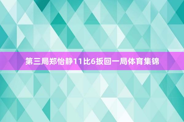 第三局郑怡静11比6扳回一局体育集锦
