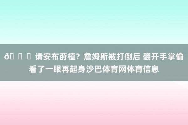 👀请安布莳植？詹姆斯被打倒后 翻开手掌偷看了一眼再起身沙巴体育网体育信息