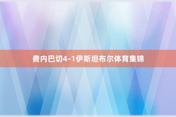 费内巴切4-1伊斯坦布尔体育集锦