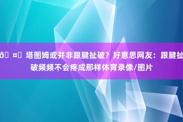 🤔塔图姆或并非跟腱扯破？好意思网友：跟腱扯破频频不会疼成那样体育录像/图片