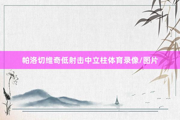 帕洛切维奇低射击中立柱体育录像/图片