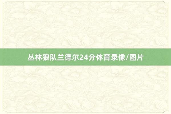 丛林狼队兰德尔24分体育录像/图片