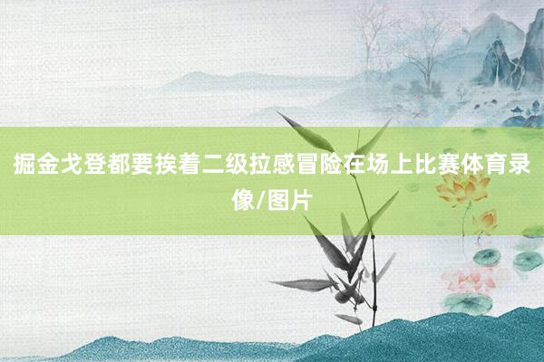 掘金戈登都要挨着二级拉感冒险在场上比赛体育录像/图片