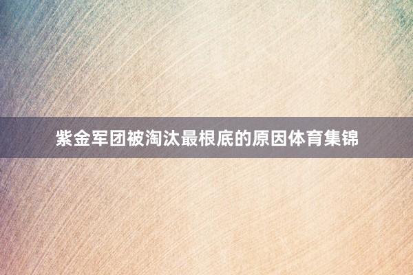 紫金军团被淘汰最根底的原因体育集锦