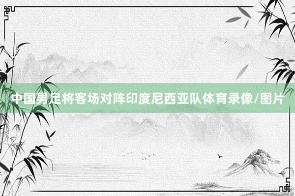 中国男足将客场对阵印度尼西亚队体育录像/图片