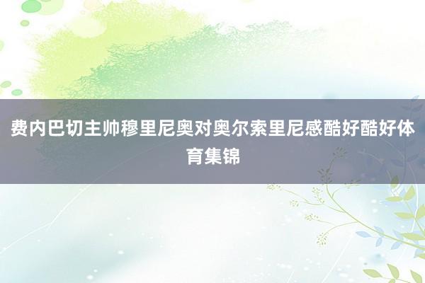 费内巴切主帅穆里尼奥对奥尔索里尼感酷好酷好体育集锦