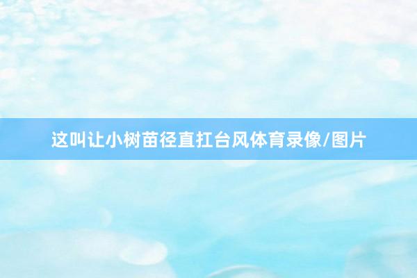 这叫让小树苗径直扛台风体育录像/图片