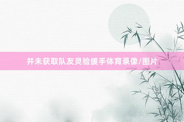 并未获取队友灵验援手体育录像/图片