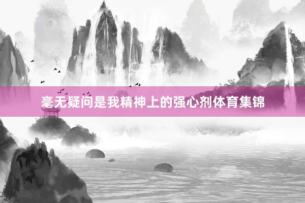 毫无疑问是我精神上的强心剂体育集锦