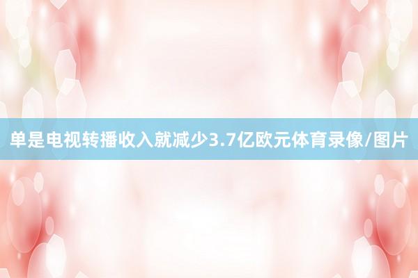单是电视转播收入就减少3.7亿欧元体育录像/图片