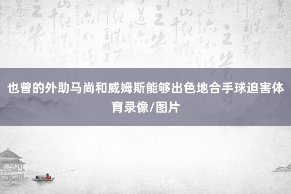 也曾的外助马尚和威姆斯能够出色地合手球迫害体育录像/图片