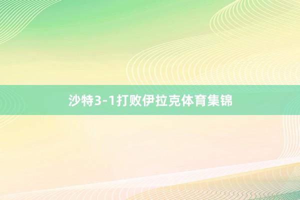 沙特3-1打败伊拉克体育集锦