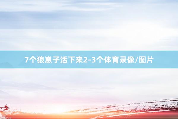 7个狼崽子活下来2-3个体育录像/图片