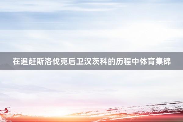 在追赶斯洛伐克后卫汉茨科的历程中体育集锦