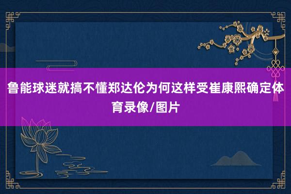 鲁能球迷就搞不懂郑达伦为何这样受崔康熙确定体育录像/图片
