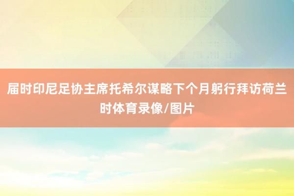 届时印尼足协主席托希尔谋略下个月躬行拜访荷兰时体育录像/图片
