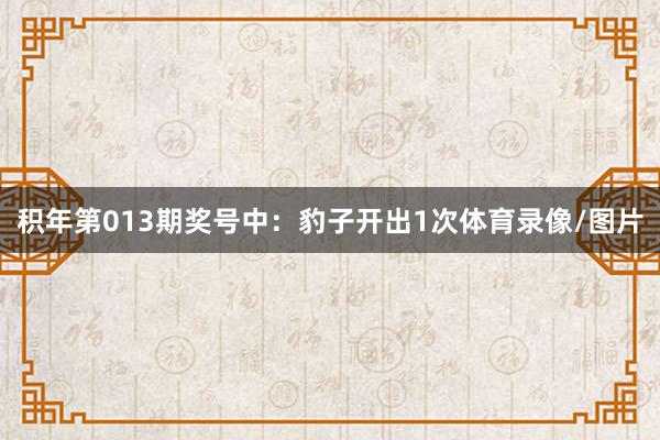 积年第013期奖号中：豹子开出1次体育录像/图片