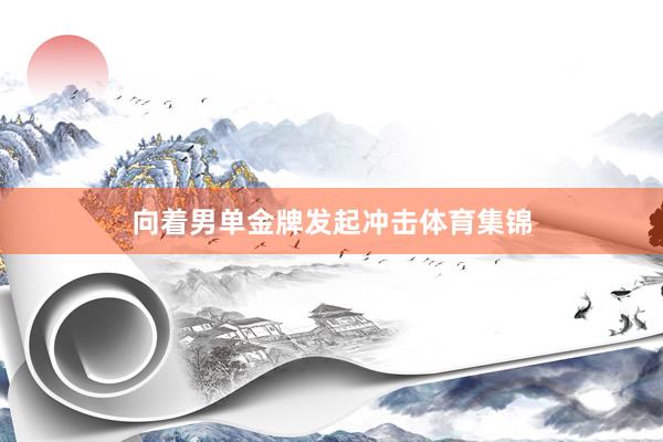 向着男单金牌发起冲击体育集锦