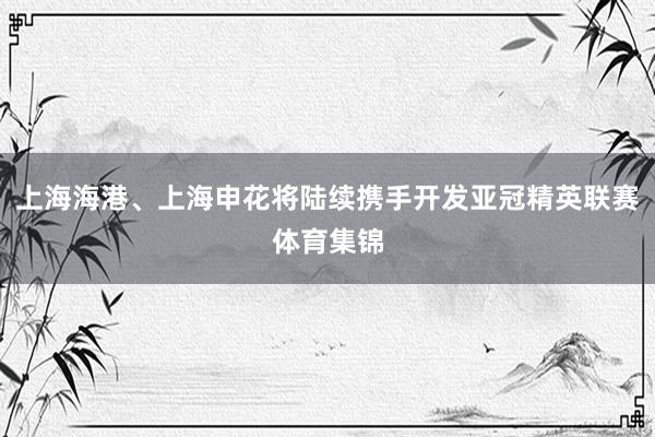 上海海港、上海申花将陆续携手开发亚冠精英联赛体育集锦