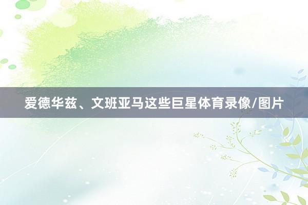 爱德华兹、文班亚马这些巨星体育录像/图片