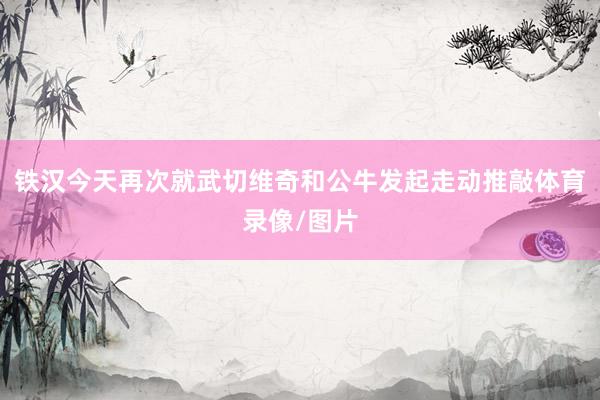 铁汉今天再次就武切维奇和公牛发起走动推敲体育录像/图片