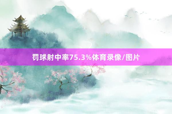 罚球射中率75.3%体育录像/图片