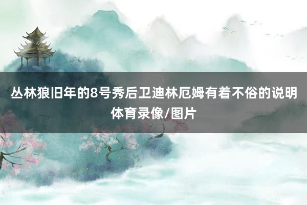 丛林狼旧年的8号秀后卫迪林厄姆有着不俗的说明体育录像/图片
