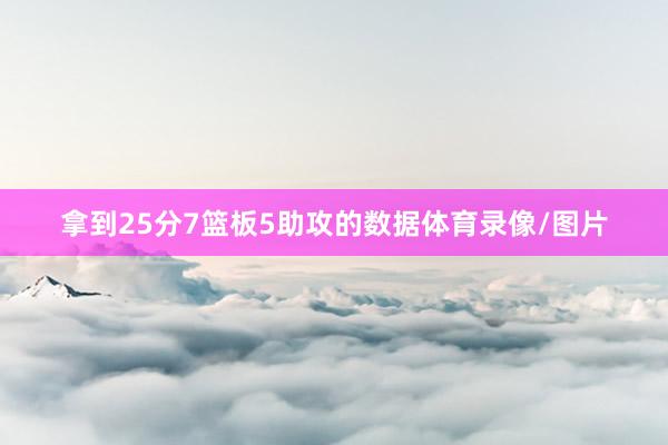 拿到25分7篮板5助攻的数据体育录像/图片