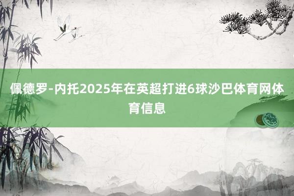 佩德罗-内托2025年在英超打进6球沙巴体育网体育信息