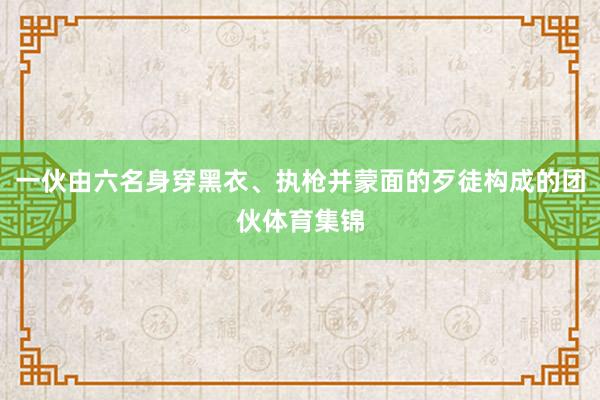 一伙由六名身穿黑衣、执枪并蒙面的歹徒构成的团伙体育集锦