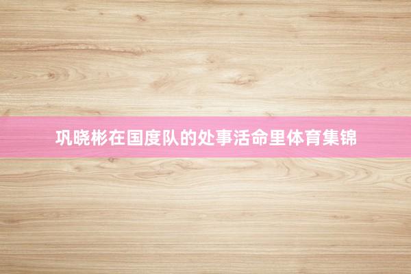 巩晓彬在国度队的处事活命里体育集锦
