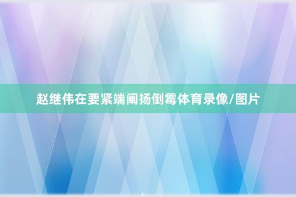 赵继伟在要紧端阐扬倒霉体育录像/图片