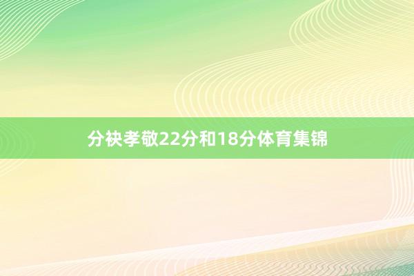 分袂孝敬22分和18分体育集锦