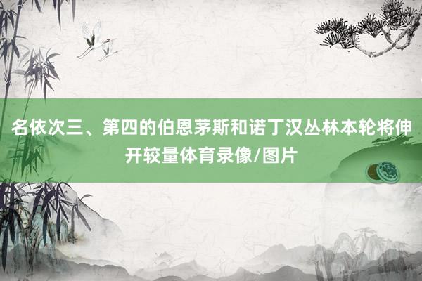 名依次三、第四的伯恩茅斯和诺丁汉丛林本轮将伸开较量体育录像/图片