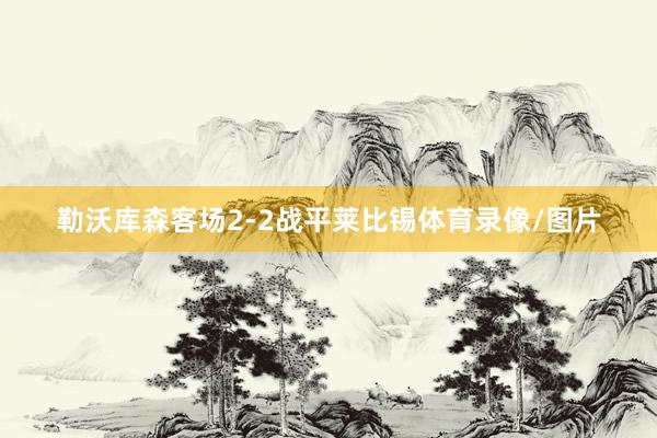 勒沃库森客场2-2战平莱比锡体育录像/图片