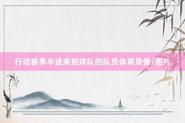 行动赛季半途来到球队的队员体育录像/图片