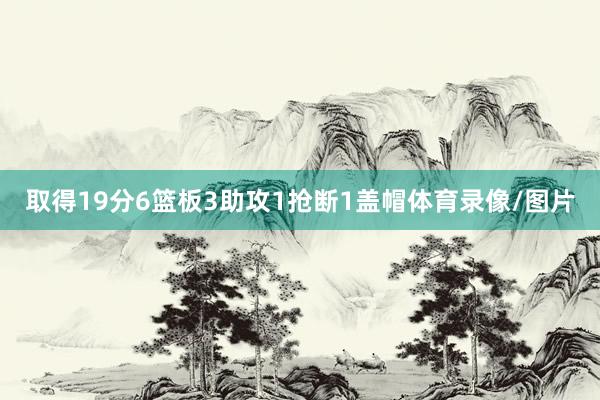 取得19分6篮板3助攻1抢断1盖帽体育录像/图片