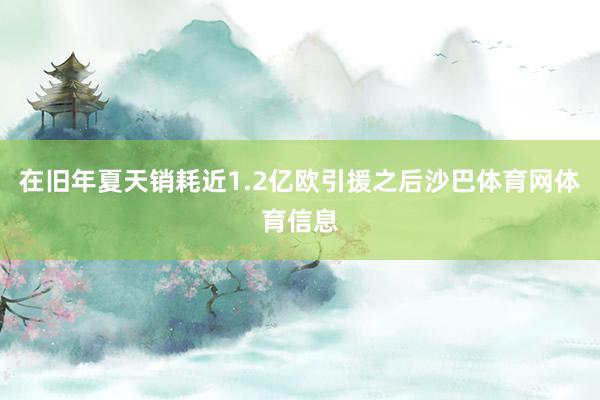 在旧年夏天销耗近1.2亿欧引援之后沙巴体育网体育信息