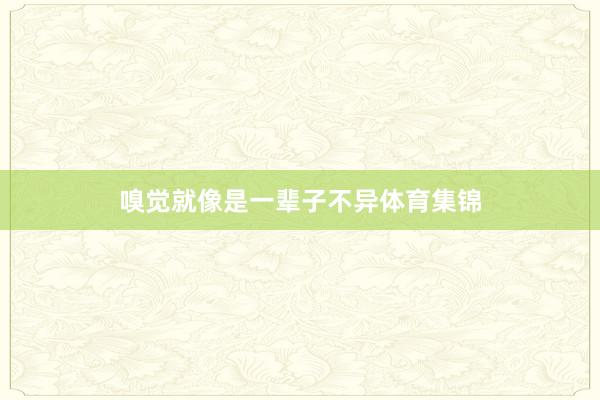 嗅觉就像是一辈子不异体育集锦
