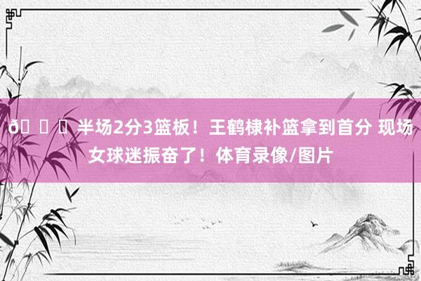 😍半场2分3篮板！王鹤棣补篮拿到首分 现场女球迷振奋了！体育录像/图片