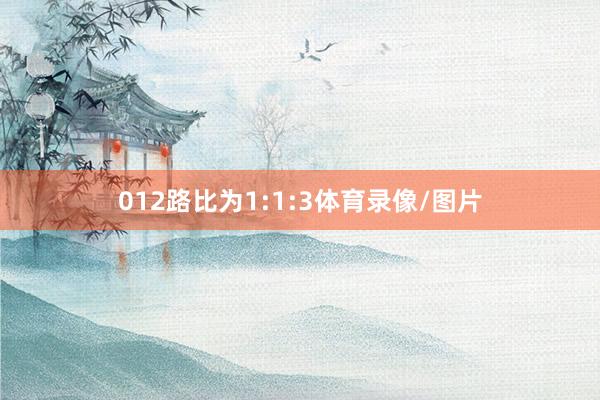 012路比为1:1:3体育录像/图片