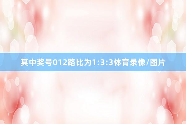 其中奖号012路比为1:3:3体育录像/图片