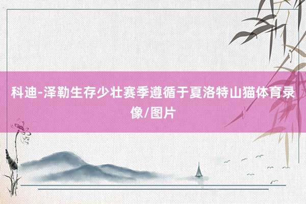 科迪-泽勒生存少壮赛季遵循于夏洛特山猫体育录像/图片